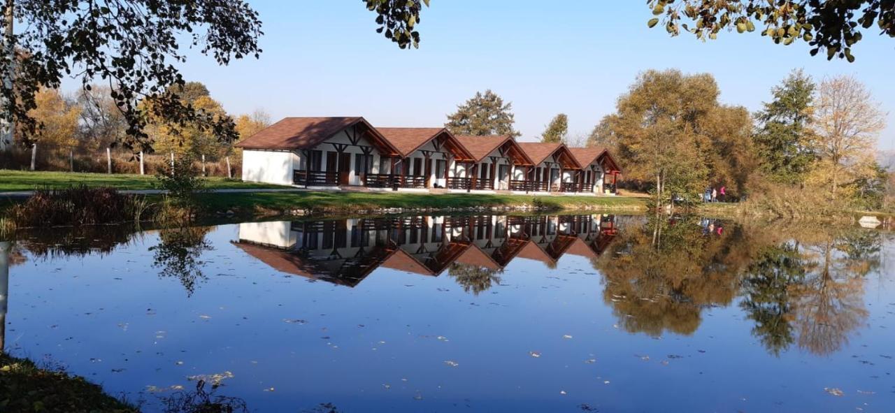 Hotel Fantanita Craiesei Făgăraş Exterior foto